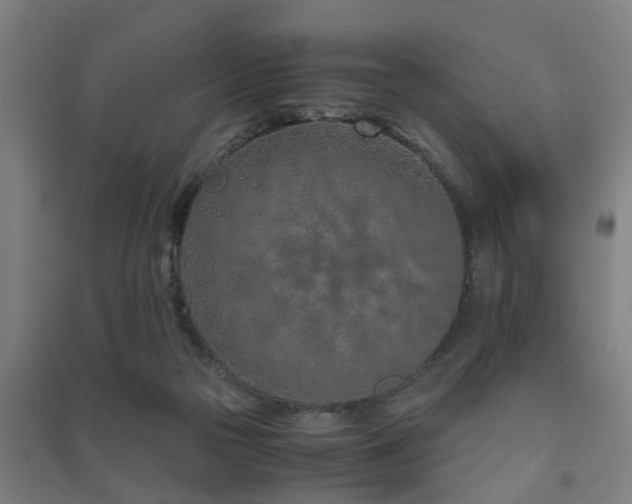 X0000091450169200708161305