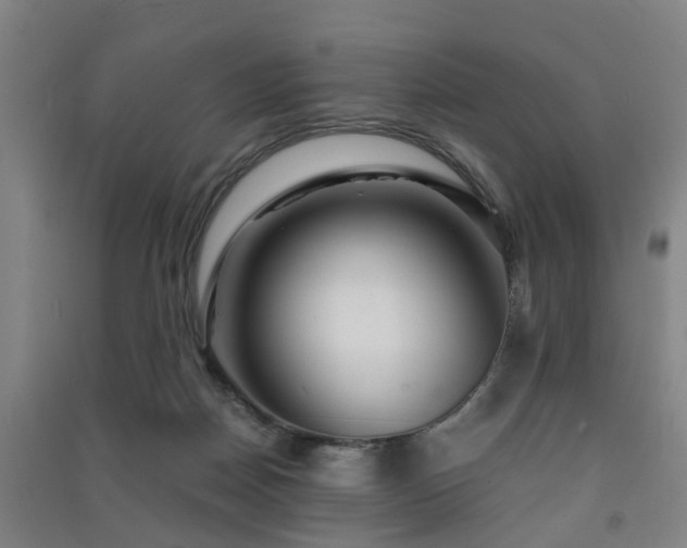 X0000091450170200708161305