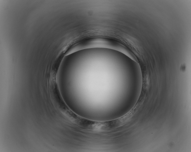 X0000091450172200708161305