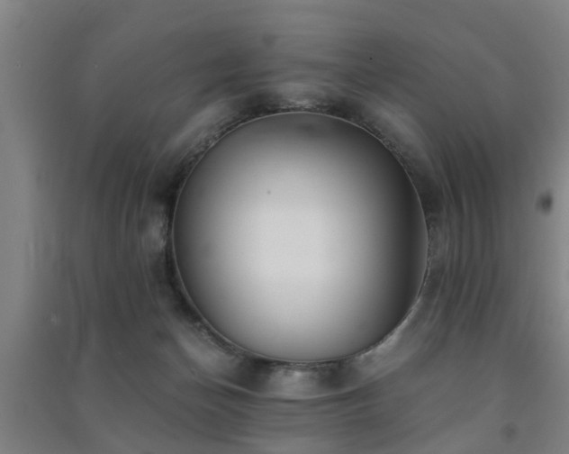 X0000091450174200708161305