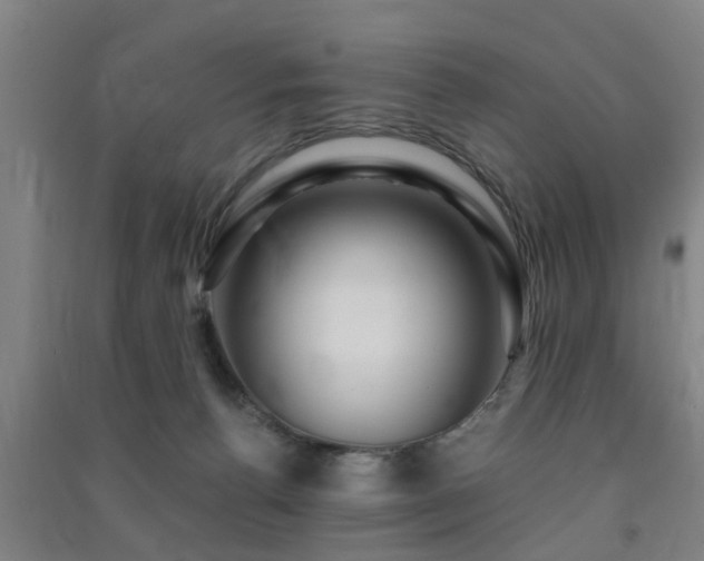 X0000091450176200708161305