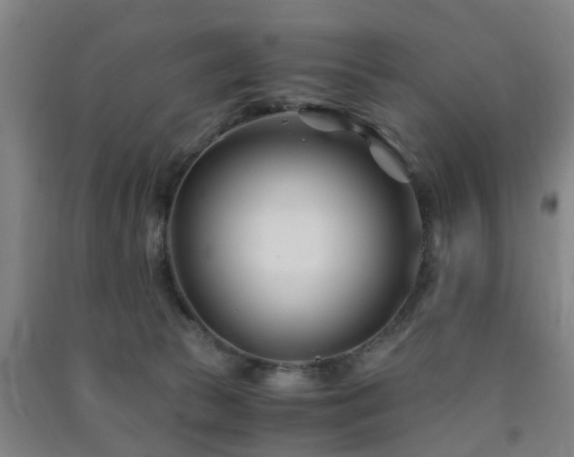 X0000091450177200708161305