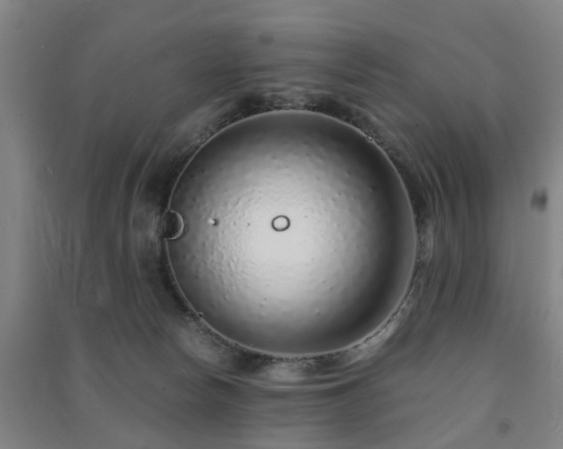 X0000091450178200708161305