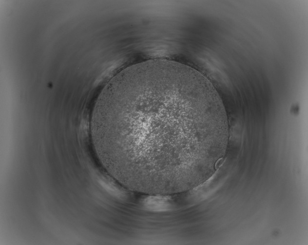X0000091450179200708161305