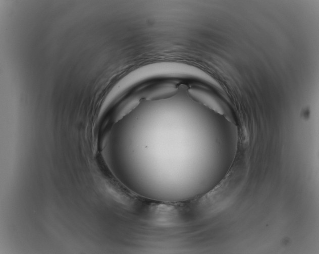 X0000091450180200708161305