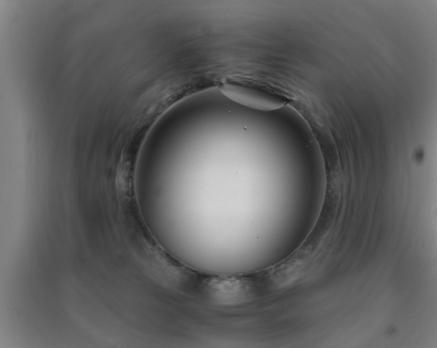 X0000091450181200708161305