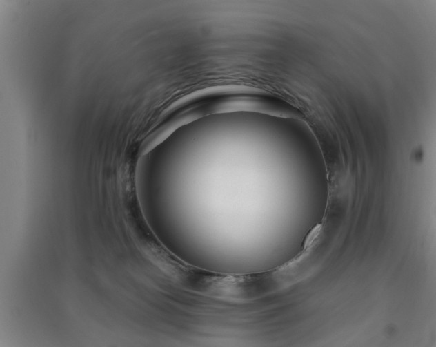 X0000091450182200708161305