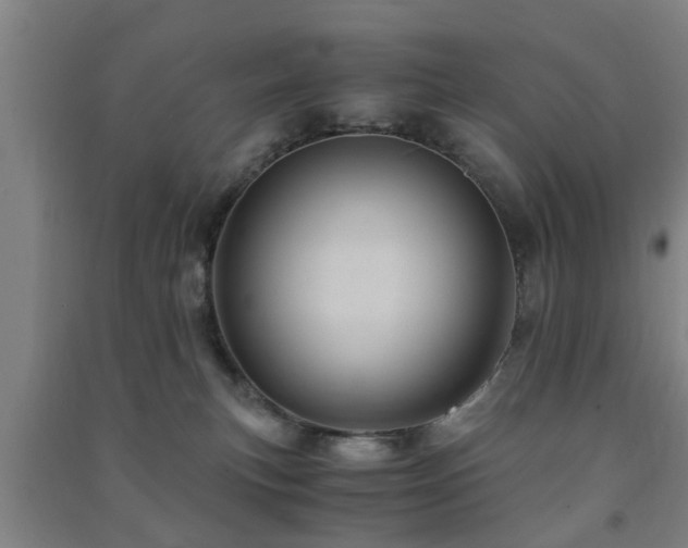 X0000091450183200708161305