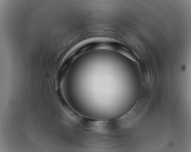 X0000091450184200708161305