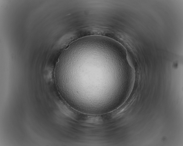 X0000091450185200708161305