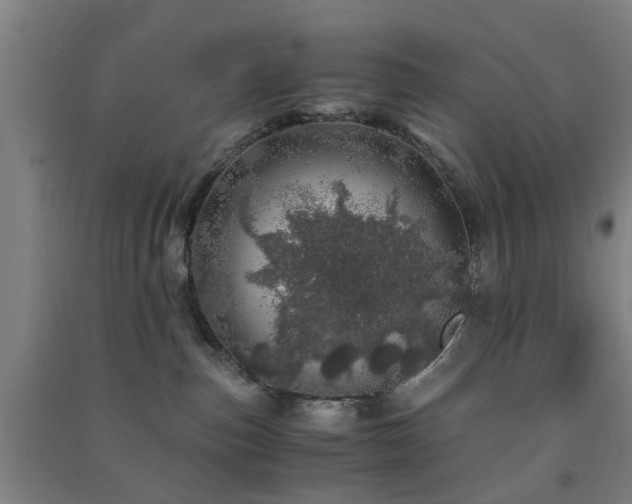 X0000091450187200708161305