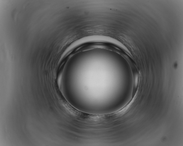 X0000091450190200708161305