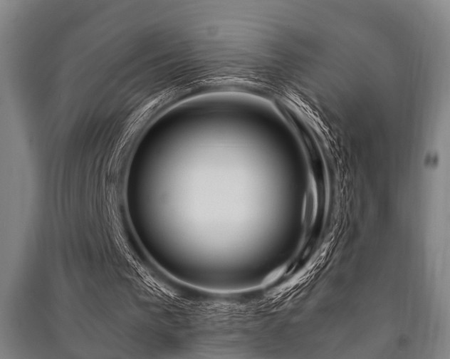 X0000091450193200708161305
