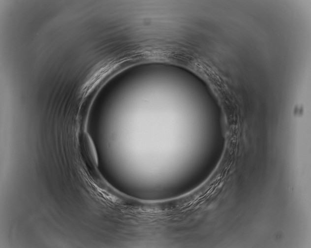 X0000091450194200708161305