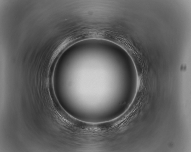 X0000091450195200708161305