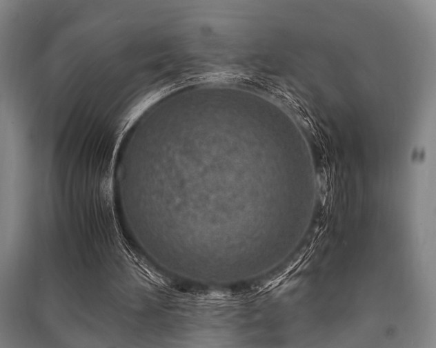 X0000091450196200708161305
