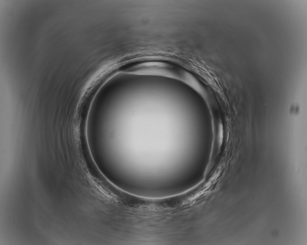 X0000091450197200708161305