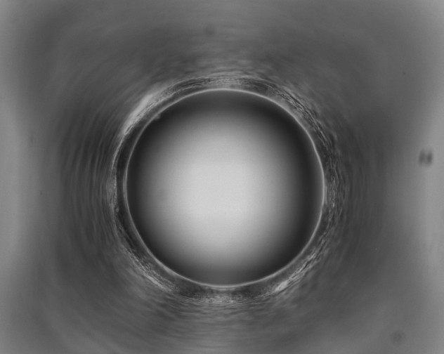 X0000091450198200708161305