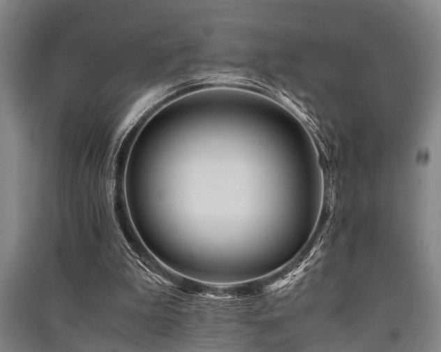 X0000091450199200708161305