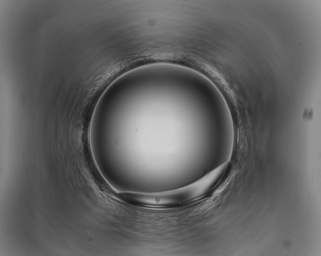 X0000091450201200708161305