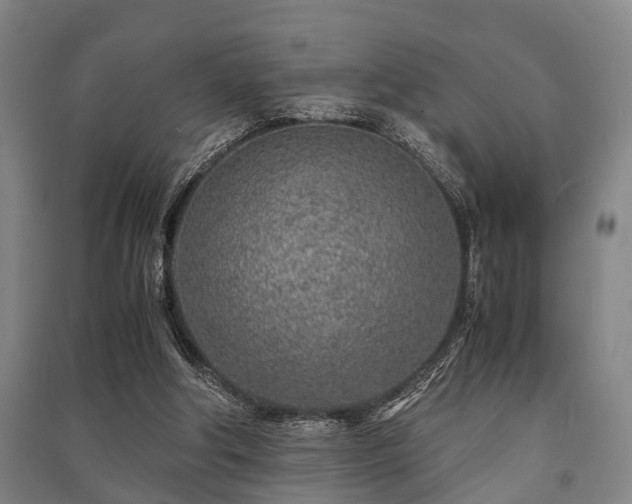 X0000091450202200708161305