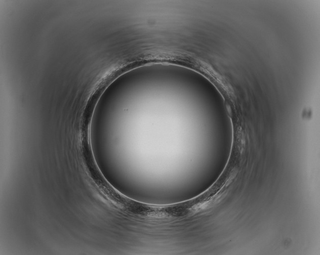 X0000091450203200708161305