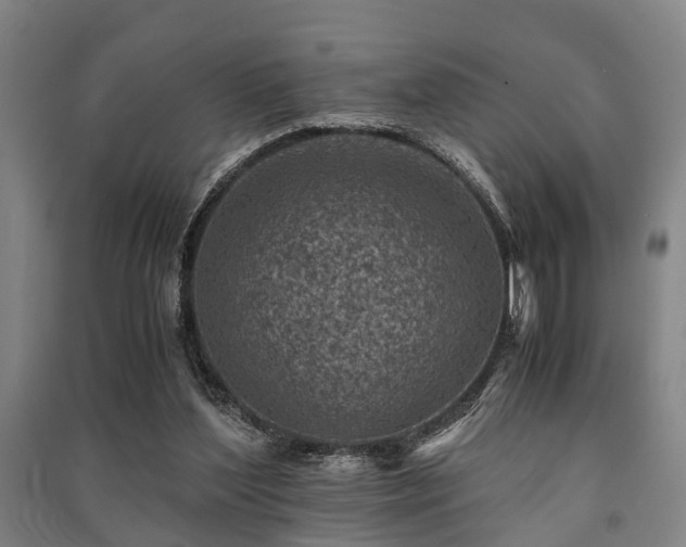 X0000091450204200708161305