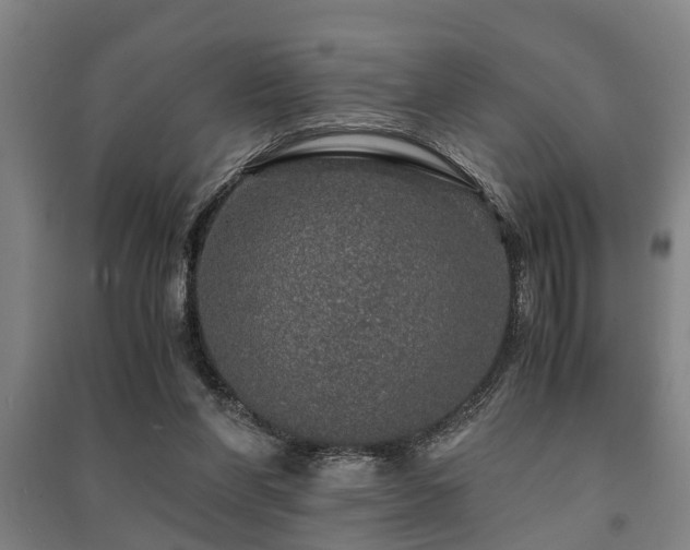 X0000091450206200708161305