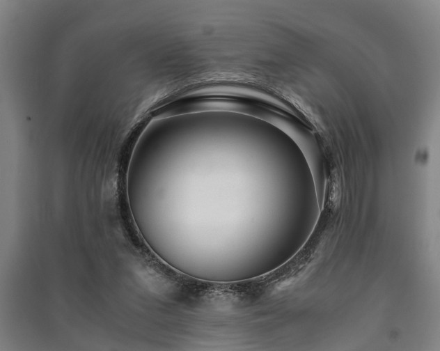 X0000091450207200708161305