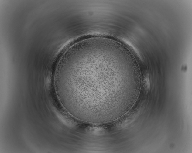 X0000091450208200708161305