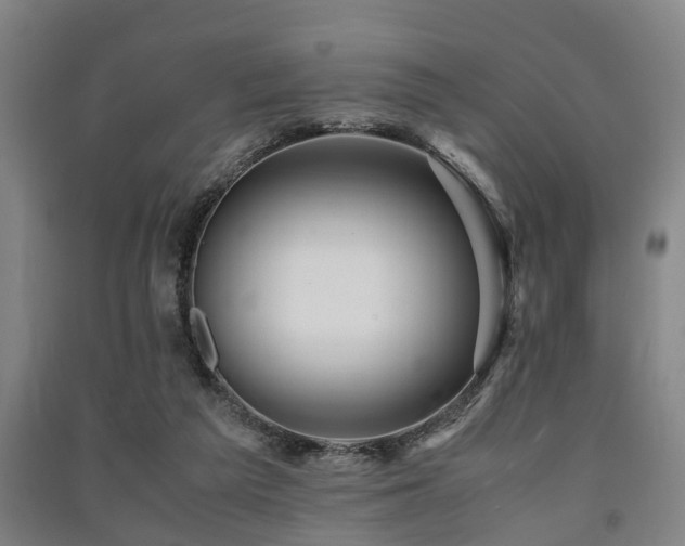 X0000091450209200708161304