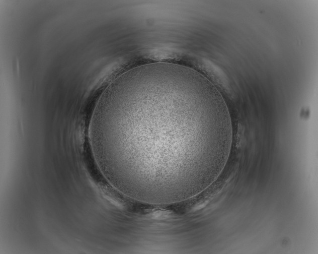 X0000091450210200708161304