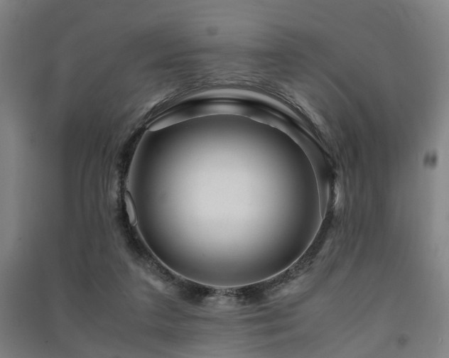 X0000091450211200708161304
