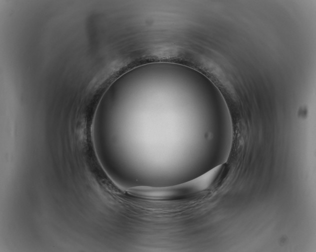 X0000091450212200708161304