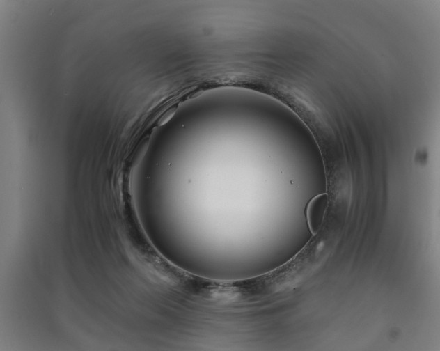 X0000091450214200708161304