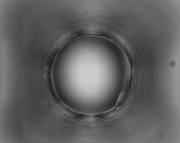 X0000091450217200708161304