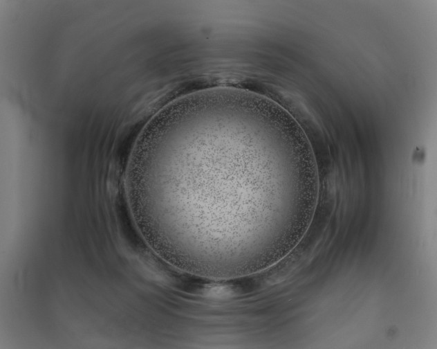 X0000091450218200708161304