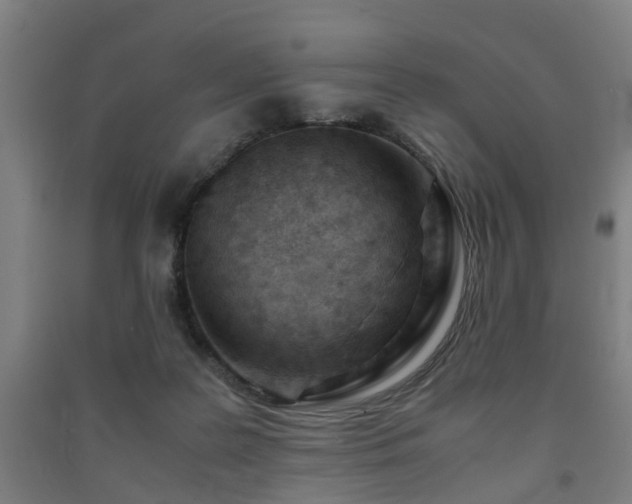 X0000091450219200708161304