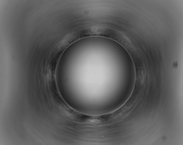 X0000091450220200708161304