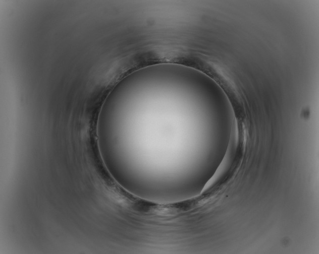 X0000091450221200708161304