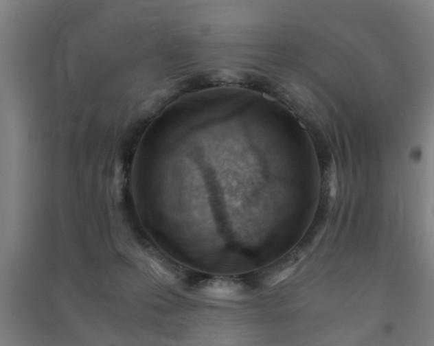 X0000091450223200708161304