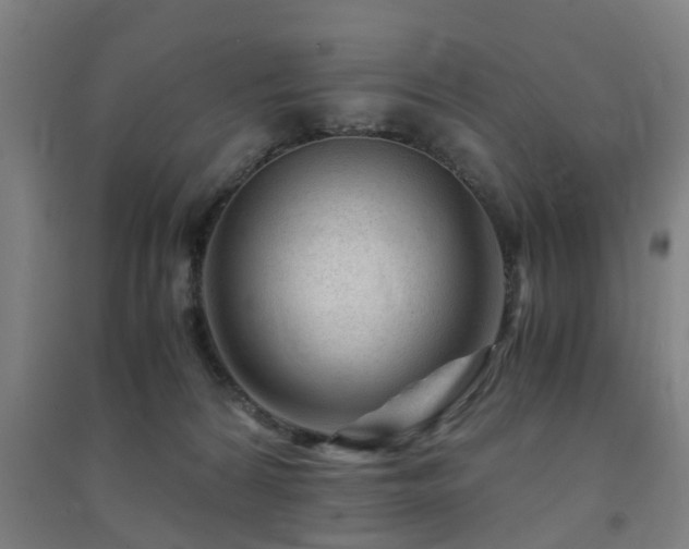 X0000091450224200708161304