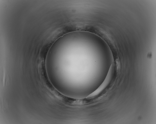 X0000091450225200708161304