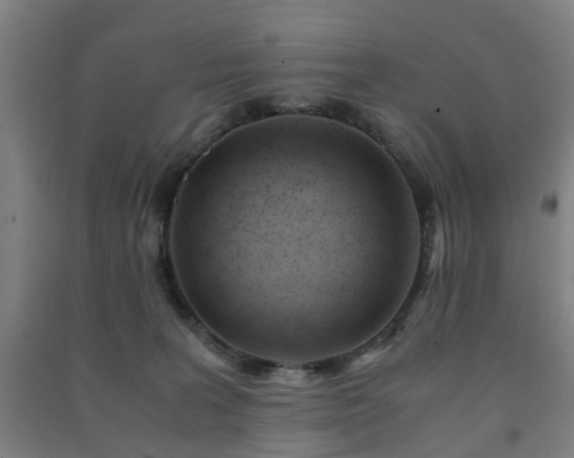 X0000091450227200708161304