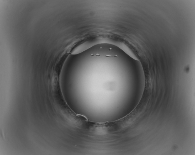 X0000091450228200708161304
