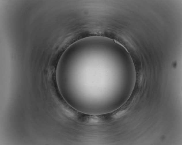 X0000091450229200708161304