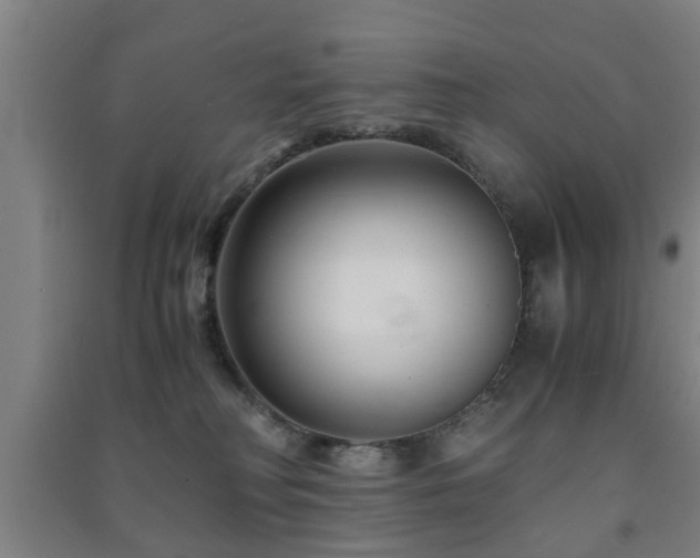 X0000091450230200708161304