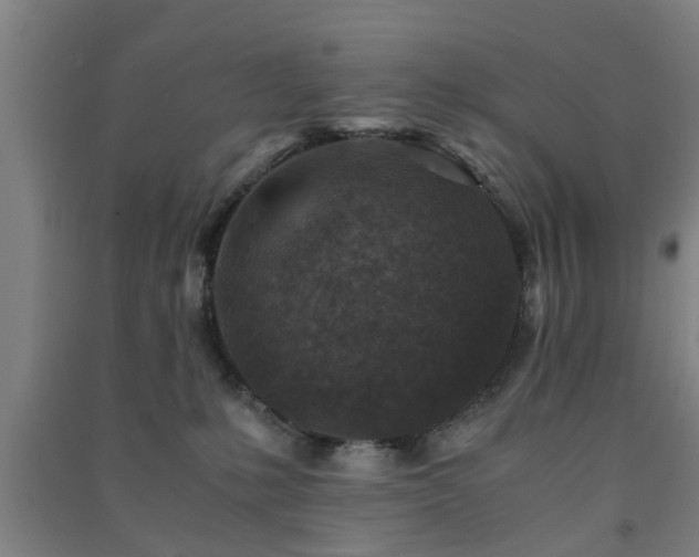 X0000091450231200708161304