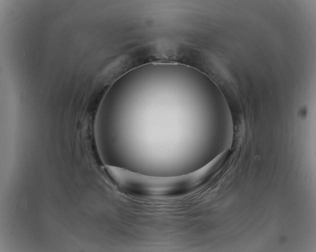 X0000091450233200708161304