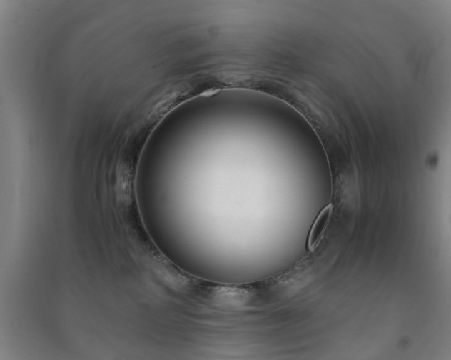 X0000091450234200708161304